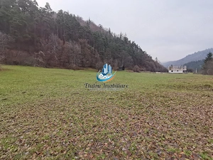 Teren Straja – Pangarati 3560 m, zona de Pensiune - imagine 11