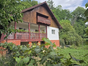 Vand Gospodărie, Slatioara jud. Valcea - imagine 4