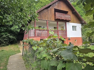 Vand Gospodărie, Slatioara jud. Valcea - imagine 6