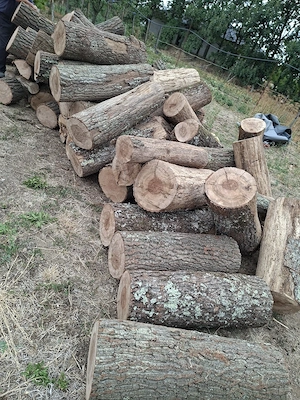 vand lemne de foc 
