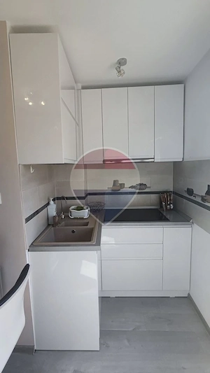 Apartament 3 camere de închiriat în zona Calea Aradului - imagine 13