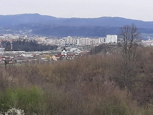 Terenuri pt case cabane pensiuni sau exploatare preturi incepand de la10   mp - imagine 3