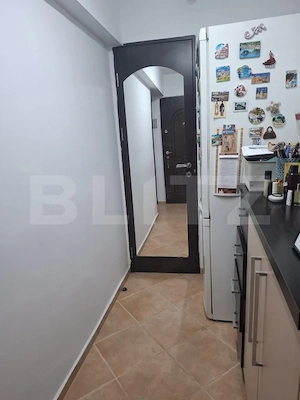 Blitz vă propune spre vânzare – Apartament cu 1 cameră, Nicolina - imagine 6