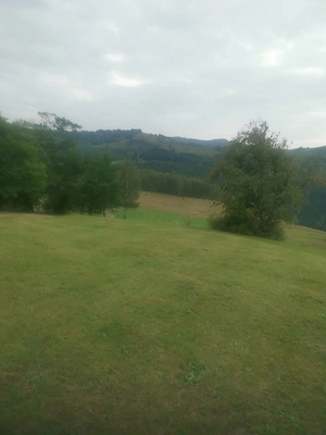 Teren de vânzare în Mogoș, jud Alba  - imagine 5