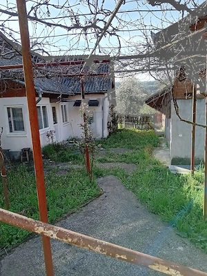 vinzare casa si teren - imagine 3