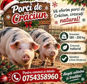 Porci de carne rasa pietrean preț 14 lei. Kg