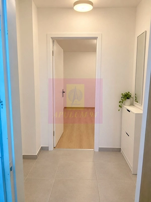 2 camere, 40,4 mp, parter, Aleea Petrăchești, de renovat - imagine 20