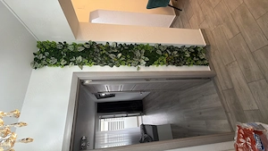 Apartament regim hotelier - imagine 3