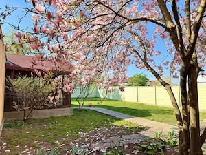 Casa zona Iosia, 6 camere, 428mp teren, de vanzare/schimb - imagine 3