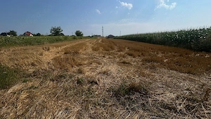 Teren de vanzare în Ipotești, 4 parcele a cate 4,2 ari - imagine 4