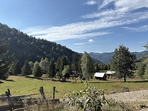 Teren intravilan 4.285 mp, Grințieș Neamț, zona Ceahlău, 9 euro mp