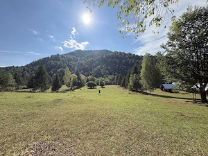 Teren intravilan 4.285 mp, Grințieș Neamț, zona Ceahlău, 9 euro mp - imagine 2