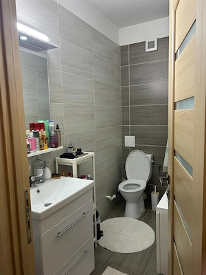 Apartament cu 1 camera in Tudor Vladimirescu-Rivers Towers - imagine 8