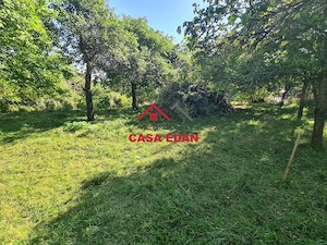 Teren intravilan in Breaza--686 mp--35.000e - imagine 4