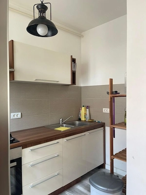 Apartament modern 2 camere, loc de parcare,  Dumbravita / Ikea - imagine 7