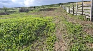 Vând teren intravilan 2500 mp, Chițorani, Prahova  - imagine 3