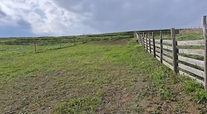 Vând teren intravilan 2500 mp, Chițorani, Prahova  - imagine 4