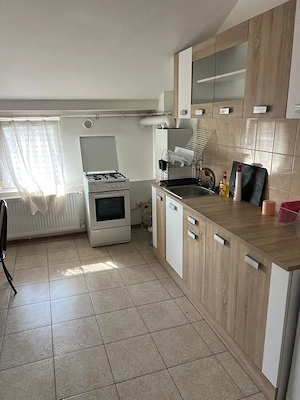 Apartament 2 camere de inchiriat, Timisoara - imagine 3