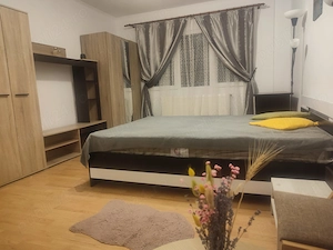 apartament 1 camera - imagine 6