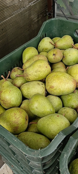 pere lucel si jambon 2,5 lei kg