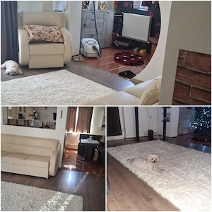 Casa de vanzare in Sat Stancesti, Com. Vadu Pasii, Buzauu - imagine 5