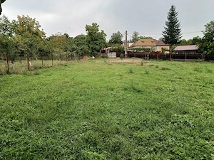 Teren  Intravilan de vanzare  Baicoi, zona LIiliesti - imagine 9