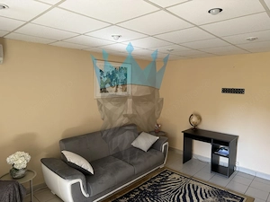  Apartament Spatios 2 Camere Sebastian Bucuresti