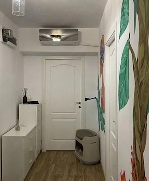 chirie CENTRU apartament cu 2 camere - imagine 7