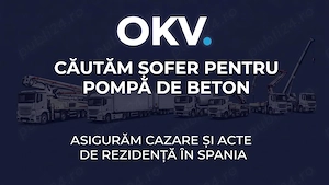 Români fără muncă - spania