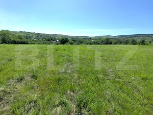 Casa 3 camere, 110 mp, 4800 mp teren, zona Horlesti - imagine 3