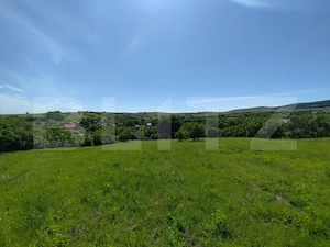 Casa 3 camere, 110 mp, 4800 mp teren, zona Horlesti - imagine 4