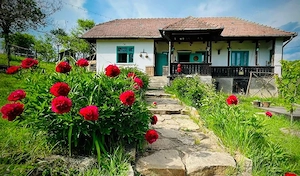 Casă tradițională + 5.032 mp teren intravilan | Puini, Cluj | potențial turistic - imagine 9