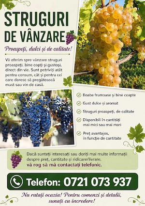 struguri de vin calitatea 1 antâia