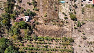 Casa de vanzare in Prunisor 2500mp - imagine 4