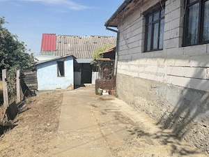 Casa de vanzare in Prunisor 2500mp - imagine 2