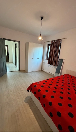 Proprietar, casa mare | 10 km de Timisoara - imagine 8