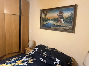 Bună ziua ! Vând casă in Deta ! 2 dormitoare  o bucătărie  baie  o mică sufragerie  si teren 750 mp! - imagine 3