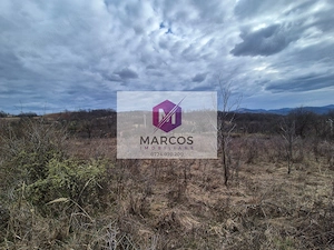 Vand 2 parcele de 5700 mp zona Iabalcea - imagine 2