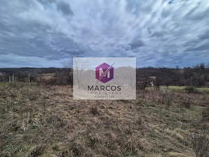 Vand 2 parcele de 5700 mp zona Iabalcea - imagine 9
