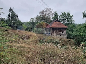Casă 47mp + teren 760mp Halmagiu - Sat Brusturi - imagine 2
