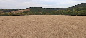 Vând teren extravilan 3,54 hectare - imagine 3