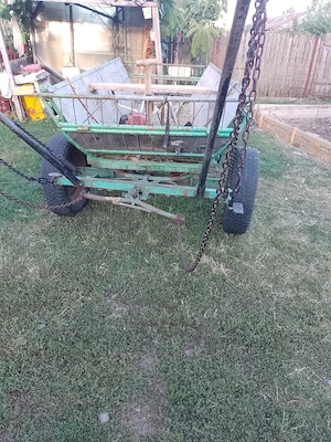 caruta pt cal - imagine 3