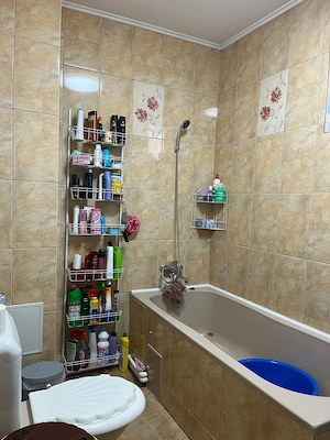 Casa de vanzare in Vetis. - imagine 9