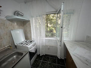 APARTAMENT 2 CAMERE //ZONA PALTINIS//INTRAREA REGIMENTULUI - imagine 7