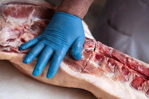 Vând carcasa porc Bio