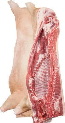 Vând carcasa porc Bio - imagine 2