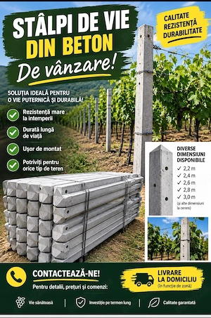 Vand Stalpi de Vie din Beton