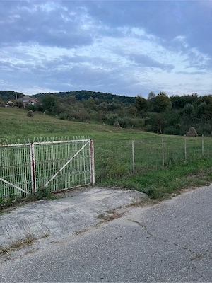 Oportunitate ! Teren Intravilan 4.500 mp - imagine 3