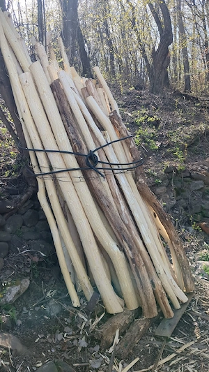 Stalpi Pari babe de salcam pentru gard