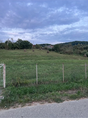 Oportunitate ! Teren Intravilan 4.500 mp - imagine 5